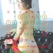 ヒメ日記 2025/11/19 14:38 投稿 白鳥麗子 プレジデントクラブ