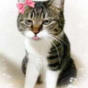 ヒメ日記 2025/03/28 13:08 投稿 涼子 越谷熟女デリヘル マダムエプロン