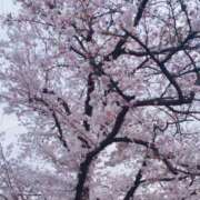 ヒメ日記 2025/04/12 14:04 投稿 涼子 越谷熟女デリヘル マダムエプロン