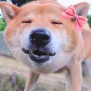 ヒメ日記 2025/04/15 15:34 投稿 涼子 越谷熟女デリヘル マダムエプロン