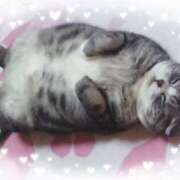 ヒメ日記 2025/04/25 01:24 投稿 涼子 越谷熟女デリヘル マダムエプロン