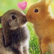 ヒメ日記 2025/05/16 13:07 投稿 涼子 越谷熟女デリヘル マダムエプロン