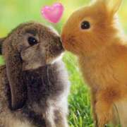 ヒメ日記 2025/05/16 13:16 投稿 涼子 越谷熟女デリヘル マダムエプロン