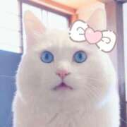 ヒメ日記 2025/08/18 17:01 投稿 涼子 越谷熟女デリヘル マダムエプロン