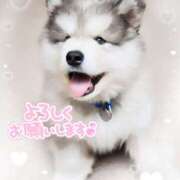 ヒメ日記 2025/12/13 13:18 投稿 涼子 越谷熟女デリヘル マダムエプロン