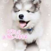 ヒメ日記 2025/12/13 13:26 投稿 涼子 越谷熟女デリヘル マダムエプロン