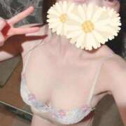 ヒメ日記 2025/12/12 18:00 投稿 かんな【天使の微笑み】 Beppin house