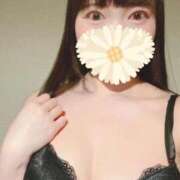 ヒメ日記 2026/03/31 12:25 投稿 かんな【天使の微笑み】 Beppin house