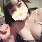 ヒメ日記 2026/09/12 00:30 投稿 かんな【天使の微笑み】 Beppin house
