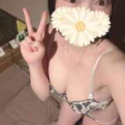 ヒメ日記 2026/09/16 17:52 投稿 かんな【天使の微笑み】 Beppin house