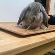 ヒメ日記 2025/09/06 19:15 投稿 ななか ぷるりんクエスト上野浅草鶯谷秋葉原デリヘル王国