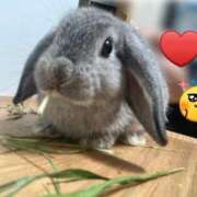 ヒメ日記 2025/09/26 12:11 投稿 ななか ぷるりんクエスト上野浅草鶯谷秋葉原デリヘル王国