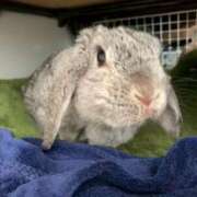 ヒメ日記 2025/09/27 14:25 投稿 ななか ぷるりんクエスト上野浅草鶯谷秋葉原デリヘル王国