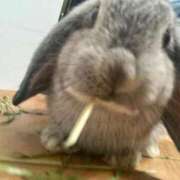 ヒメ日記 2025/09/30 13:08 投稿 ななか ぷるりんクエスト上野浅草鶯谷秋葉原デリヘル王国