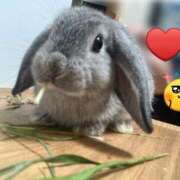 ヒメ日記 2025/10/03 14:22 投稿 ななか ぷるりんクエスト上野浅草鶯谷秋葉原デリヘル王国