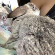 ヒメ日記 2025/10/28 16:02 投稿 ななか ぷるりんクエスト上野浅草鶯谷秋葉原デリヘル王国