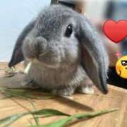 ヒメ日記 2025/11/04 22:56 投稿 ななか ぷるりんクエスト上野浅草鶯谷秋葉原デリヘル王国