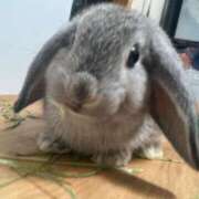 ヒメ日記 2025/11/13 20:51 投稿 ななか ぷるりんクエスト上野浅草鶯谷秋葉原デリヘル王国