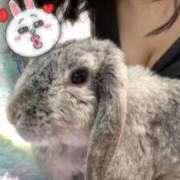 ヒメ日記 2025/11/27 13:51 投稿 ななか ぷるりんクエスト上野浅草鶯谷秋葉原デリヘル王国