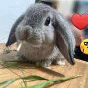 ヒメ日記 2025/11/27 21:46 投稿 ななか ぷるりんクエスト上野浅草鶯谷秋葉原デリヘル王国