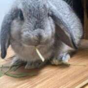 ヒメ日記 2025/11/28 13:51 投稿 ななか ぷるりんクエスト上野浅草鶯谷秋葉原デリヘル王国