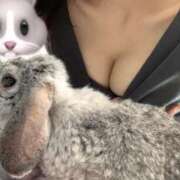 ヒメ日記 2025/11/30 14:51 投稿 ななか ぷるりんクエスト上野浅草鶯谷秋葉原デリヘル王国