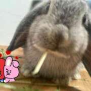 ヒメ日記 2025/12/16 12:51 投稿 ななか ぷるりんクエスト上野浅草鶯谷秋葉原デリヘル王国