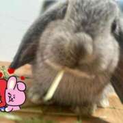 ヒメ日記 2025/12/24 00:09 投稿 ななか ぷるりんクエスト上野浅草鶯谷秋葉原デリヘル王国