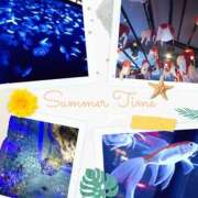 ヒメ日記 2025/01/16 14:34 投稿 めい（人妻） Yシャツと私