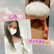 ヒメ日記 2025/01/25 22:31 投稿 めい（人妻） Yシャツと私