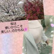 ヒメ日記 2025/04/14 07:46 投稿 めい（人妻） Yシャツと私