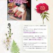 ヒメ日記 2025/06/10 11:01 投稿 めい（人妻） Yシャツと私