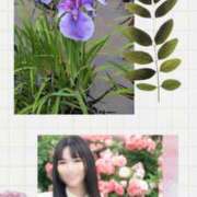 ヒメ日記 2025/07/02 13:45 投稿 めい（人妻） Yシャツと私