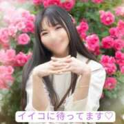 ヒメ日記 2025/07/23 09:04 投稿 めい（人妻） Yシャツと私