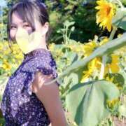 ヒメ日記 2025/07/25 07:10 投稿 めい（人妻） Yシャツと私