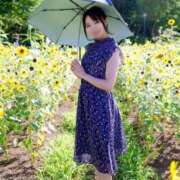 ヒメ日記 2025/08/18 06:17 投稿 めい（人妻） Yシャツと私