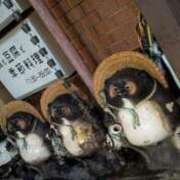 ヒメ日記 2025/08/21 23:27 投稿 めい（人妻） Yシャツと私