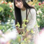 ヒメ日記 2025/10/29 14:01 投稿 めい（人妻） Yシャツと私