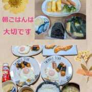 めい（人妻） 朝ごはん大切🐑🍚 Yシャツと私