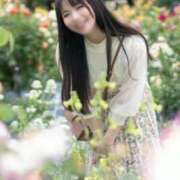 ヒメ日記 2026/07/30 06:30 投稿 めい（人妻） Yシャツと私