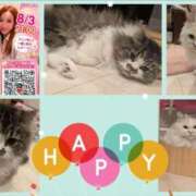 ヒメ日記 2026/08/04 18:52 投稿 めい（人妻） Yシャツと私
