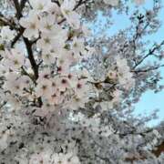 ヒメ日記 2026/04/10 16:32 投稿 桐谷 奈々美 大阪貴楼館