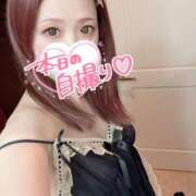 ヒメ日記 2025/06/13 12:06 投稿 華宮　くれあ ドMな奥様 すすきの店