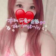 ヒメ日記 2025/07/01 16:36 投稿 華宮　くれあ ドMな奥様 すすきの店