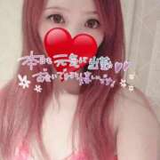 ヒメ日記 2025/09/10 17:26 投稿 華宮　くれあ ドMな奥様 すすきの店