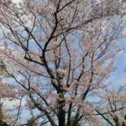 逢坂(おうさか) スケジュール更新 モアグループ西川口人妻城