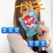 ヒメ日記 2025/05/20 19:55 投稿 かほ 水戸人妻花壇