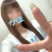 ヒメ日記 2025/08/11 20:35 投稿 かほ 水戸人妻花壇