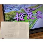 ヒメ日記 2026/04/12 23:11 投稿 かほ 水戸人妻花壇