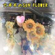 ヒメ日記 2025/07/21 23:45 投稿 えみり みせすはーと